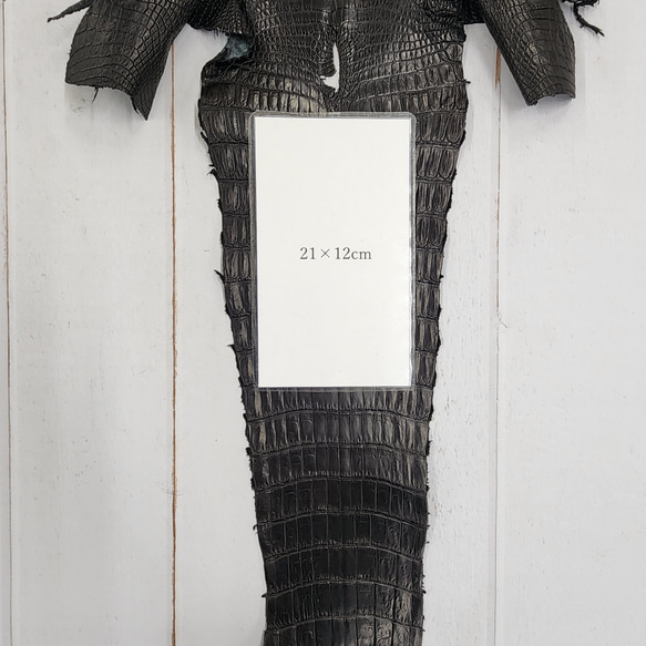 ワニ革 クロコ 半艶マット  黒　No.C008959 8枚目の画像