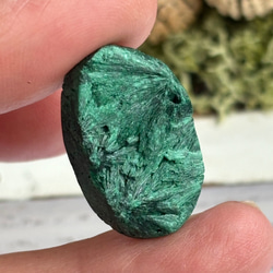 マラカイト（孔雀石）シャトヤンシー 原石 ルース 33 天然石 天然色 12枚目の画像