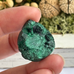 マラカイト（孔雀石）シャトヤンシー 原石 ルース 34 天然石 天然色 3枚目の画像