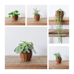 Lサイズ/牌変更無料】麻雀 マージャン 雀荘 ゲーム アカウーピン 赤牌