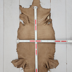 ワニ革　クロコ　半艶マット　ミンク　No.C008945 6枚目の画像