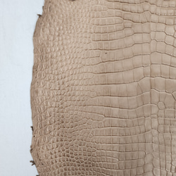 ワニ革　クロコ　半艶マット　ミンク　No.C008945 13枚目の画像