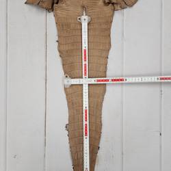 ワニ革　クロコ　半艶マット　ミンク　No.C008945 7枚目の画像