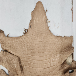 ワニ革　クロコ　半艶マット　ミンク　No.C008945 3枚目の画像