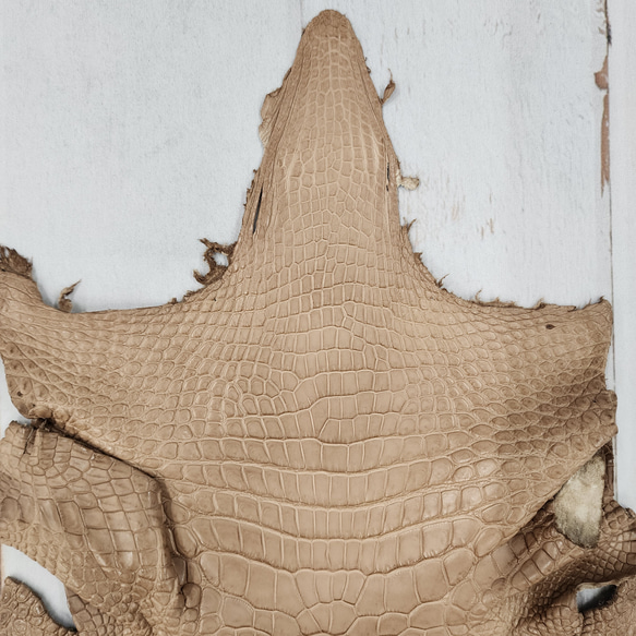 ワニ革　クロコ　半艶マット　ミンク　No.C008945 3枚目の画像