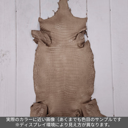 ワニ革　クロコ　半艶マット　ミンク　No.C008945 2枚目の画像