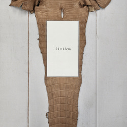 ワニ革　クロコ　半艶マット　ミンク　No.C008945 9枚目の画像