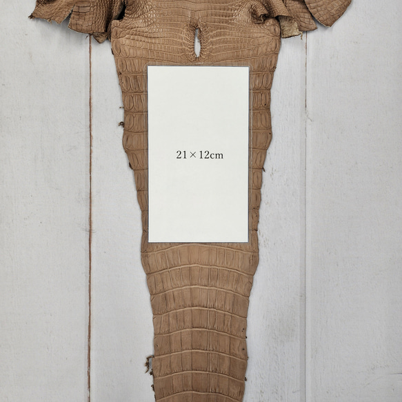 ワニ革　クロコ　半艶マット　ミンク　No.C008945 9枚目の画像