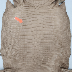 ワニ革　クロコ　半艶マット　ミンク　No.C008945 10枚目の画像