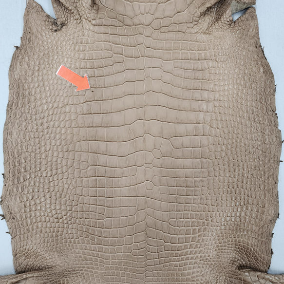 ワニ革　クロコ　半艶マット　ミンク　No.C008945 10枚目の画像