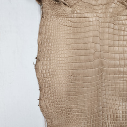 ワニ革　クロコ　半艶マット　ミンク　No.C008946 15枚目の画像