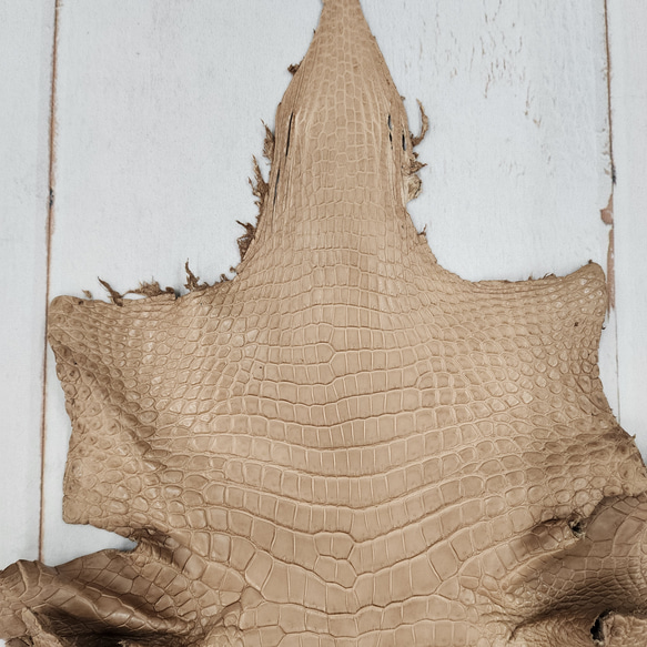 ワニ革　クロコ　半艶マット　ミンク　No.C008946 3枚目の画像