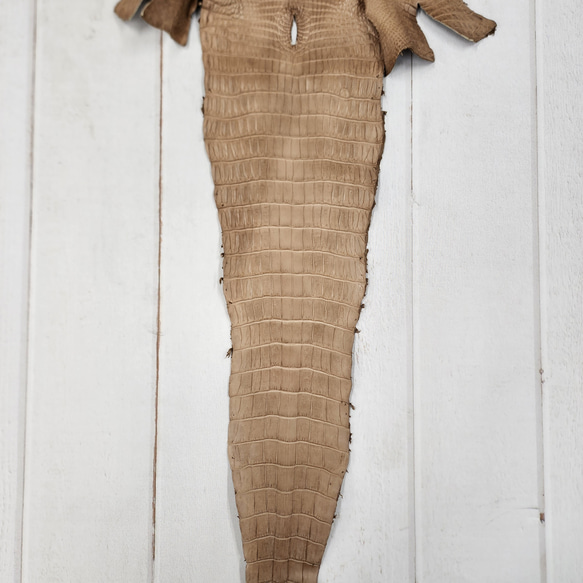 ワニ革　クロコ　半艶マット　ミンク　No.C008946 5枚目の画像