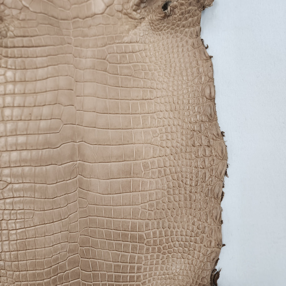 ワニ革　クロコ　半艶マット　ミンク　No.C008946 16枚目の画像