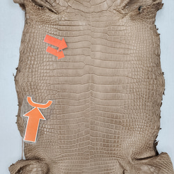 ワニ革　クロコ　半艶マット　ミンク　No.C008946 10枚目の画像