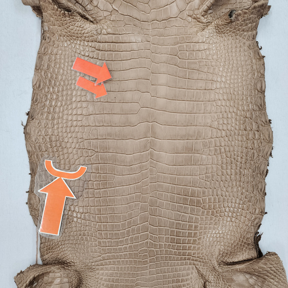 ワニ革　クロコ　半艶マット　ミンク　No.C008946 10枚目の画像