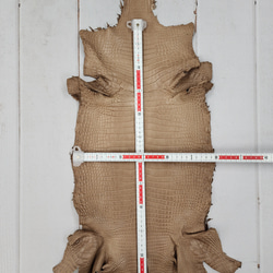 ワニ革　クロコ　半艶マット　ミンク　No.C008946 6枚目の画像