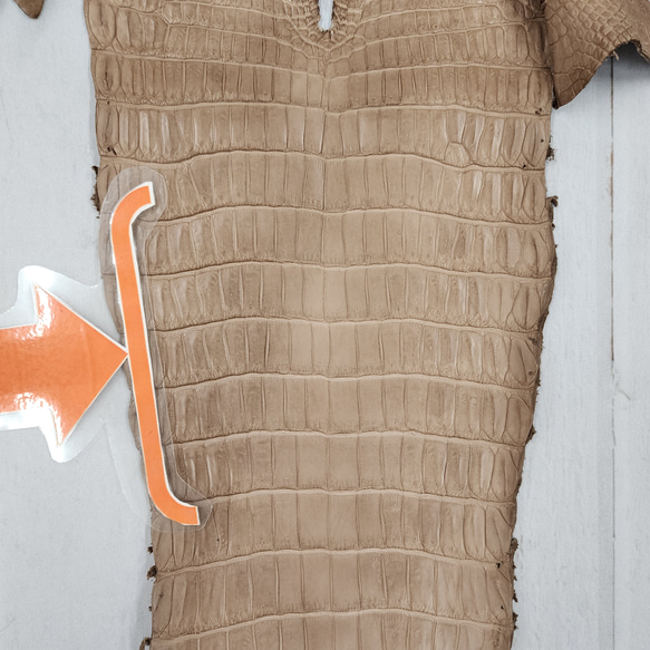 ワニ革　クロコ　半艶マット　ミンク　No.C008946 13枚目の画像