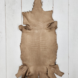 ワニ革　クロコ　半艶マット　ミンク　No.C008946 1枚目の画像