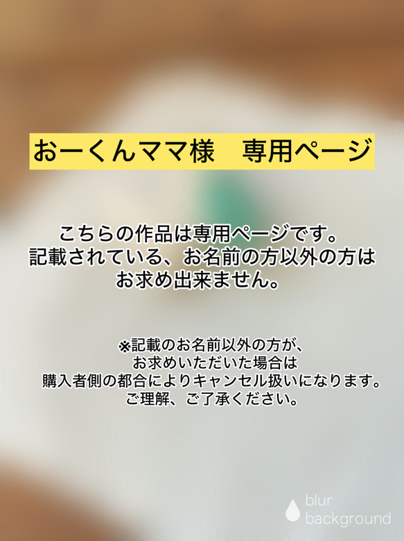 おーくんママ様　専用ページ 1枚目の画像