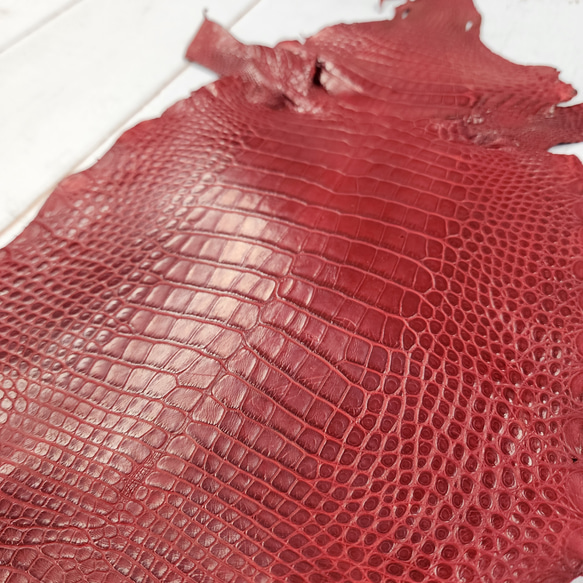 ワニ革 クレイフィニッシュ  デンスレッド　No.C008702 14枚目の画像