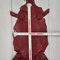 ワニ革 クレイフィニッシュ  デンスレッド　No.C008702 6枚目の画像