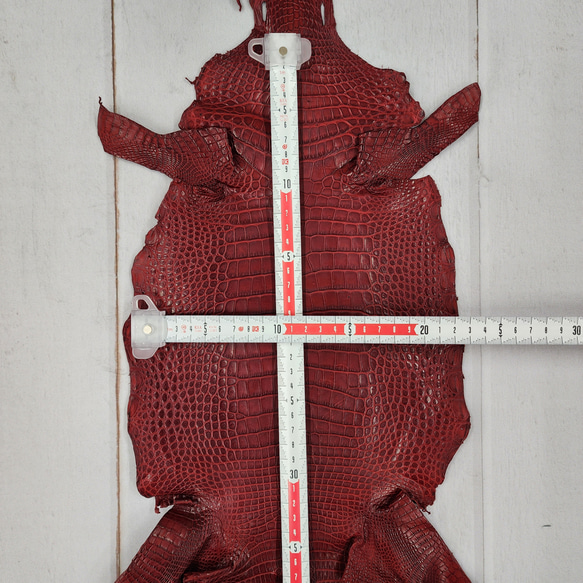 ワニ革 クレイフィニッシュ  デンスレッド　No.C008702 6枚目の画像