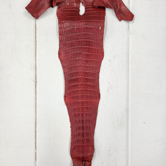 ワニ革 クレイフィニッシュ  デンスレッド　No.C008702 5枚目の画像