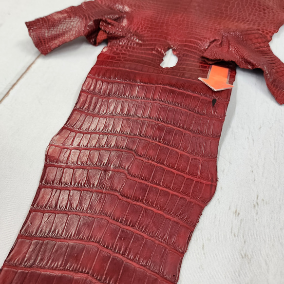 ワニ革 クレイフィニッシュ  デンスレッド　No.C008702 13枚目の画像