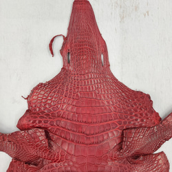 ワニ革 クレイフィニッシュ  デンスレッド　No.C008702 3枚目の画像