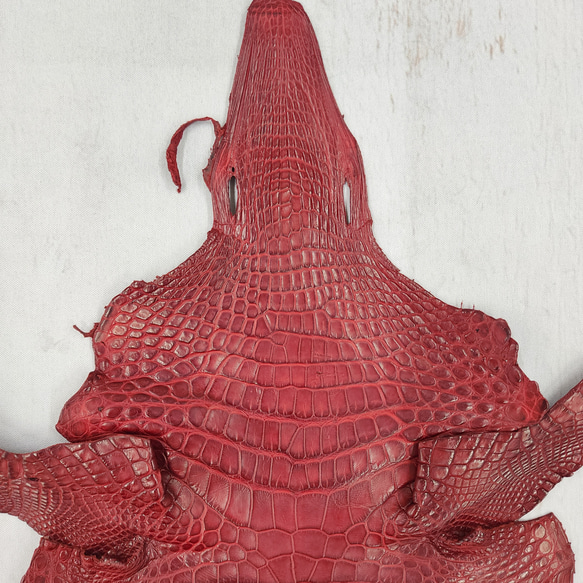 ワニ革 クレイフィニッシュ  デンスレッド　No.C008702 3枚目の画像