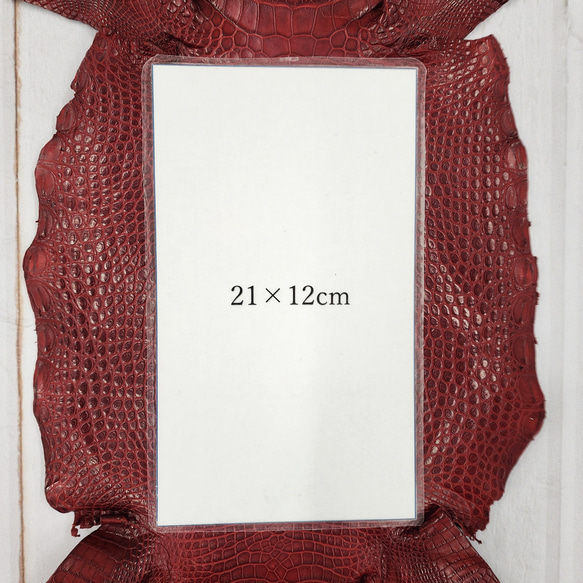 ワニ革 クレイフィニッシュ  デンスレッド　No.C008702 8枚目の画像