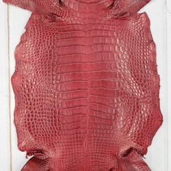 ワニ革 クレイフィニッシュ  デンスレッド　No.C008702 4枚目の画像