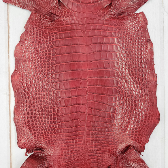 ワニ革 クレイフィニッシュ  デンスレッド　No.C008702 4枚目の画像