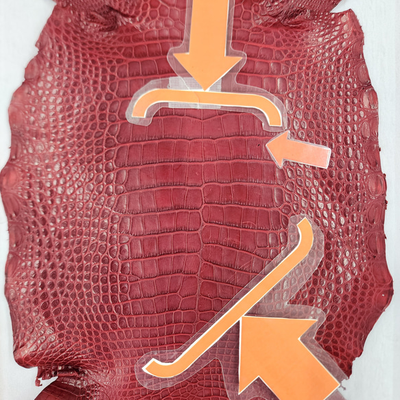 ワニ革 クレイフィニッシュ  デンスレッド　No.C008702 9枚目の画像