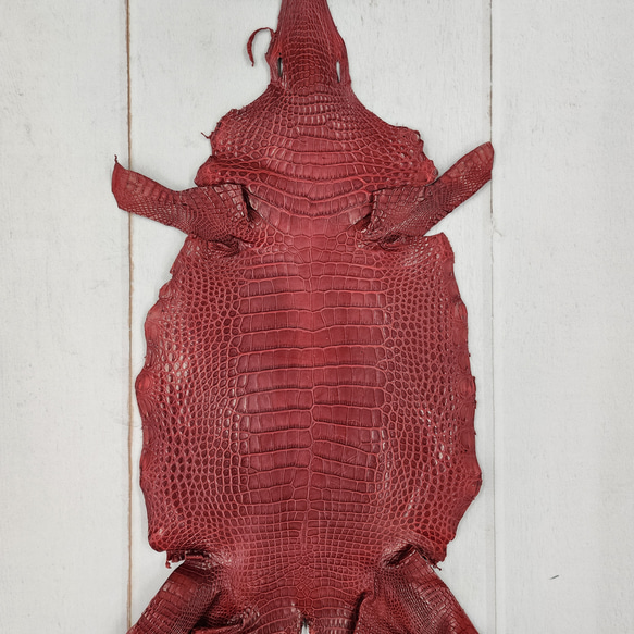 ワニ革 クレイフィニッシュ  デンスレッド　No.C008702 1枚目の画像