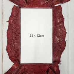 ワニ革 クレイフィニッシュ  デンスレッド　No.C008705 8枚目の画像