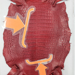 ワニ革 クレイフィニッシュ  デンスレッド　No.C008705 9枚目の画像