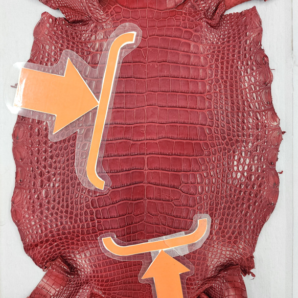 ワニ革 クレイフィニッシュ  デンスレッド　No.C008705 9枚目の画像