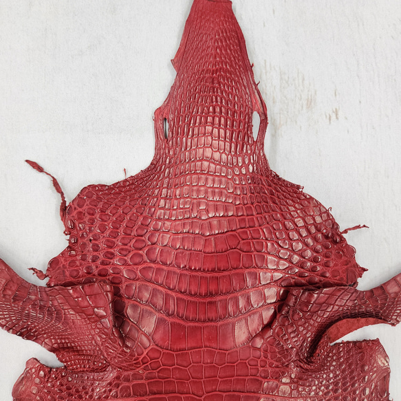 ワニ革 クレイフィニッシュ  デンスレッド　No.C008705 3枚目の画像