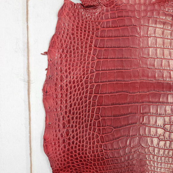 ワニ革 クレイフィニッシュ  デンスレッド　No.C008705 14枚目の画像