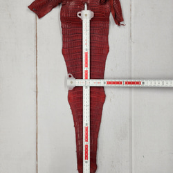 ワニ革 クレイフィニッシュ  デンスレッド　No.C008705 7枚目の画像