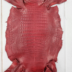 ワニ革 クレイフィニッシュ  デンスレッド　No.C008705 4枚目の画像