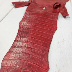 ワニ革 クレイフィニッシュ  デンスレッド　No.C008705 16枚目の画像