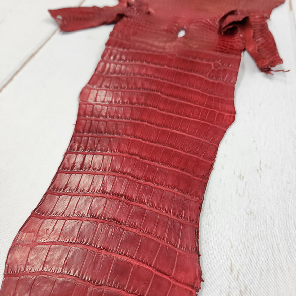 ワニ革 クレイフィニッシュ  デンスレッド　No.C008705 16枚目の画像