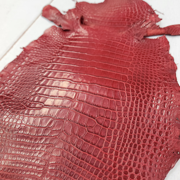 ワニ革 クレイフィニッシュ  デンスレッド　No.C008705 13枚目の画像