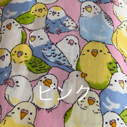 エコティッシュカバー☆マスクストッカー♪インコちゃん☆いっぱい♪2カラー 4枚目の画像