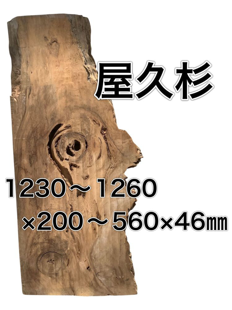m-061839　ヤクスギ 屋久杉 木材 板 一枚板 DIY 材料 無垢板 木工 工作 家具 手作り インテリア 木