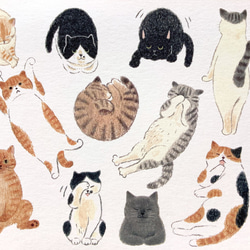 ポストカード　＜猫が好き＞ 4枚目の画像