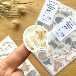 フレークシール　猫が好き 6枚目の画像